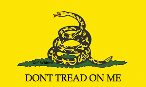 Dont Tread on Me flag
